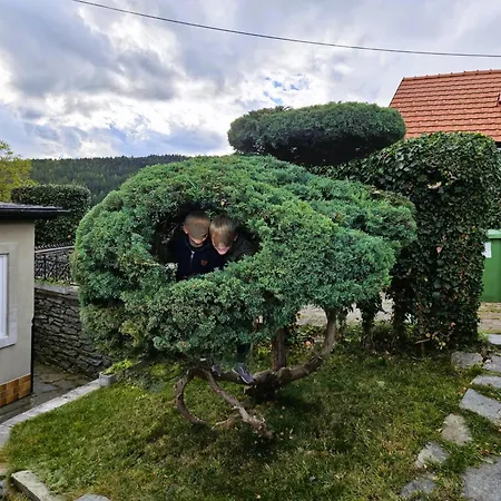 Holiday home Huette Auf 1000m Hoehe In Moenichkirchen. *