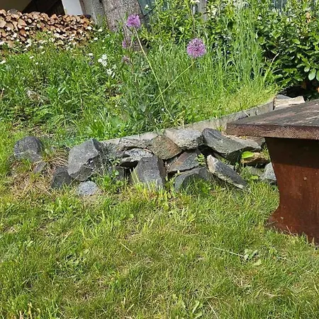 Huette Auf 1000m Hoehe In Moenichkirchen. * Moenichkirchen